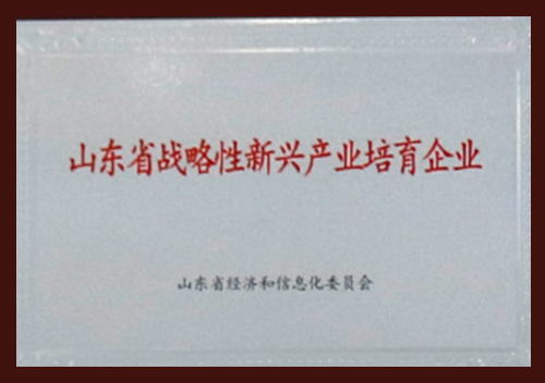 Strategic-supported-Emerging